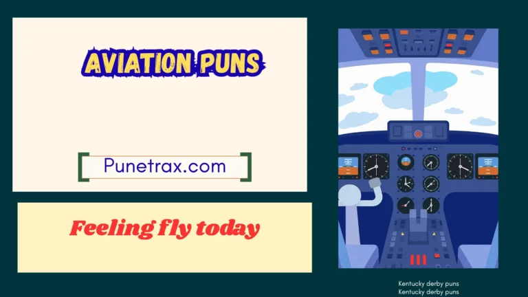 Aviation puns