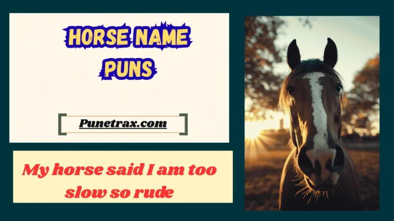 Horse name puns