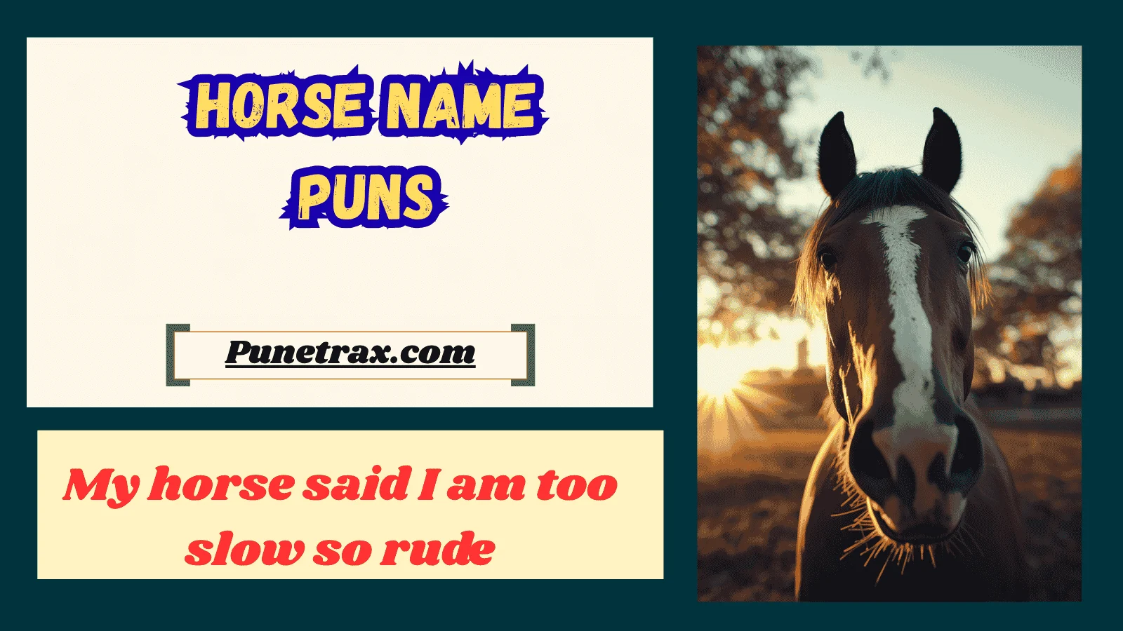 Horse name puns
